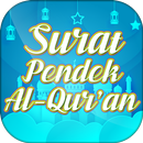 Hafalan Surat Surat Pendek AlQ APK