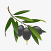 Golden Spoon APK