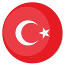 Learn Turkish APK