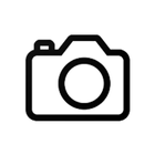 Always visible Camera button 图标