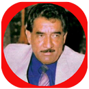 محمد جواد اموري بدون انترنت APK