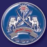 التميز الخليجي