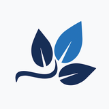 Alterwood360 APK