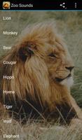 Zoo Sounds Poster