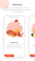 Alula Citrus ポスター