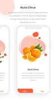 Alula Citrus スクリーンショット 2