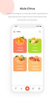 Alula Citrus スクリーンショット 3