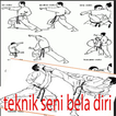 teknik seni bela diri