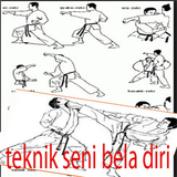 martial arts techniques APK