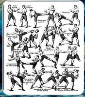 techniques d'arts martiaux Affiche