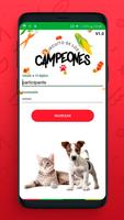 Circuito de los Campeones 截圖 2
