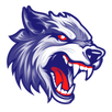 APK Wold Vpn
