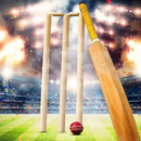 Cricket Records Video APK