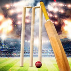 Cricket Records Video ikona