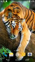 Tiger 3D Live Wallpaper ภาพหน้าจอ 1