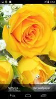 Yellow Roses Live Wallpaper captura de pantalla 2