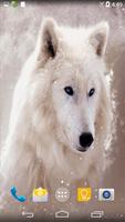 Arctic Wolf Live Wallpaper تصوير الشاشة 1