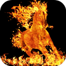 Burning Horse Live Wallpaper aplikacja