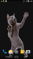 Dancing Cat Live Wallpaper screenshot 1