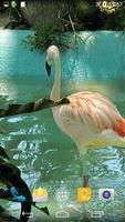 Flamingo Live Wallpaper पोस्टर