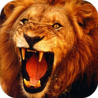 Lion 3D Live Wallpaper icône