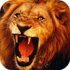 Lion 3D Live Wallpaper আইকন