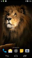 Lion 3D Live Wallpaper постер