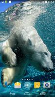 Polar Bear Live Wallpaper 截圖 1