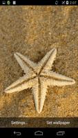 Sea Star Live Wallpaper скриншот 2