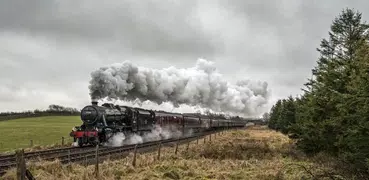 Steam train Live Wallpaper