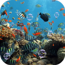 Fond d'écran animé Aquarium APK