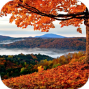 Autumn Live Wallpaper APK