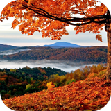 Autumn Live Wallpaper 圖標
