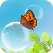 Butterflies Live Wallpaper