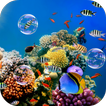 ”Colorful Tropical Fishes