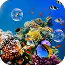 Colorful Tropical Fishes APK
