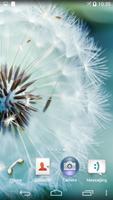 پوستر Dandelion Live Wallpaper