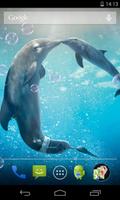 Дельфины живые обои постер