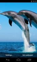 Дельфины живые обои скриншот 1