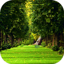 Falling leaves Live Wallpaper APK