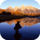 APK Fly Fishing Live Wallpaper