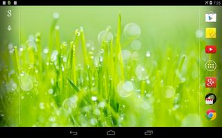 Grass Live Wallpaper اسکرین شاٹ 3