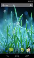 Grass Live Wallpaper پوسٹر