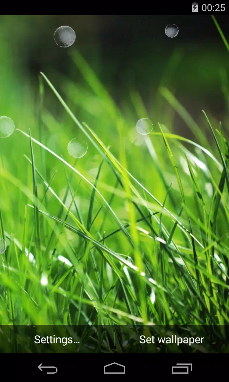 Grass Live Wallpaper APK for Android Download Grass Live Wallpaper APK for Android Download