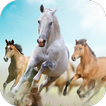 Horses Live Wallpaper