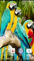 Parrots Live Wallpaper imagem de tela 1