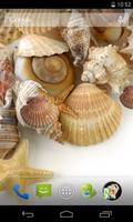 Poster Sea shells Live Wallpaper