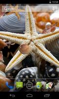 1 Schermata Sea shells Live Wallpaper