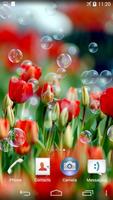 Soap Bubbles Live Wallpaper اسکرین شاٹ 1