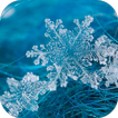 Snowflakes Live Wallpaper